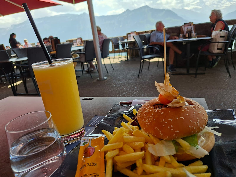 Panoramic Viewpoint - Harder Kulm