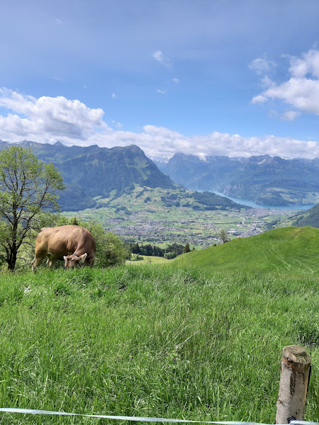 Wildhaus