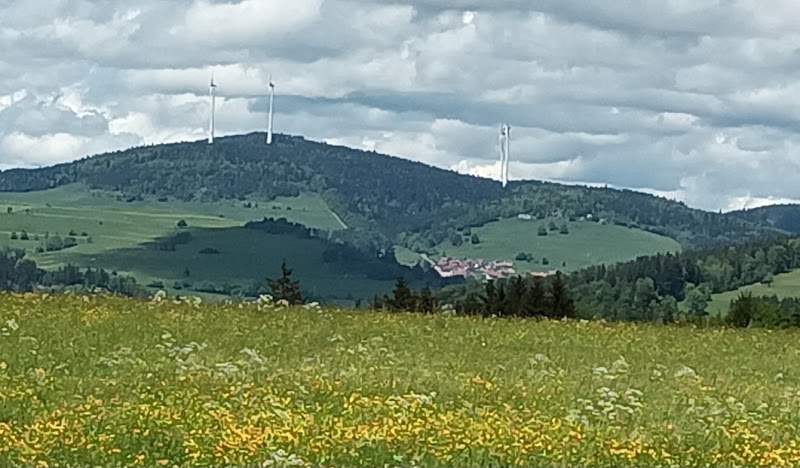 Hotzenpfad Bergalingen-Rickenbach