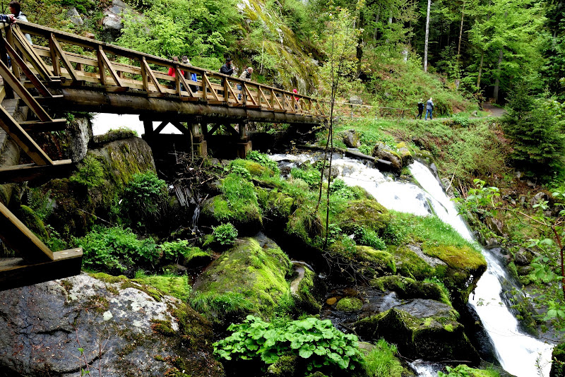 Titisee